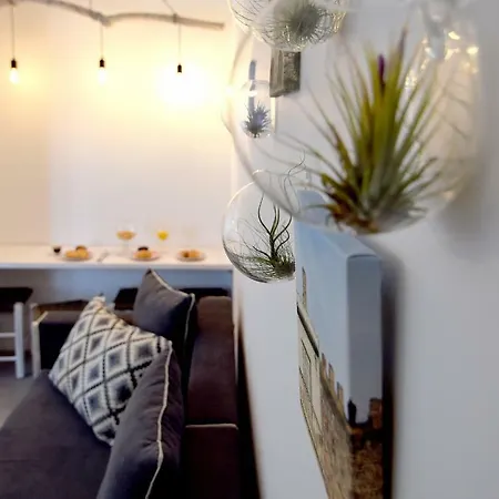 Grey By Skg Apartment *